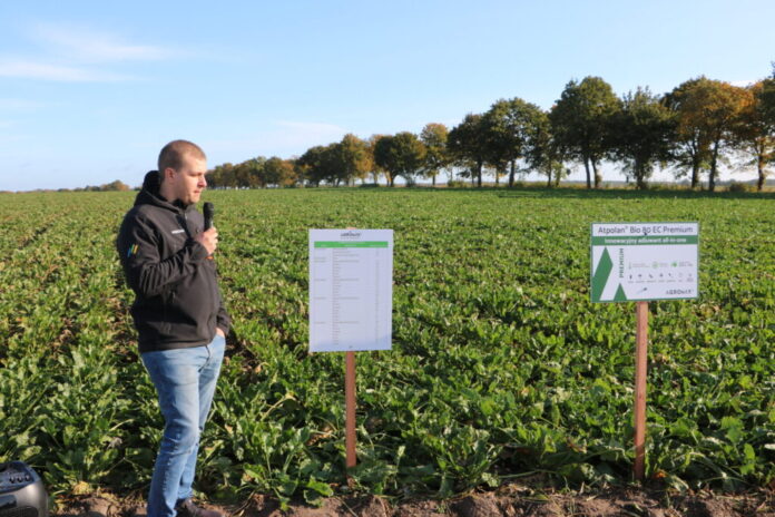 Adiuwant adiuwantowi nierówny