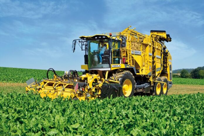 Zbiór buraka cukrowego