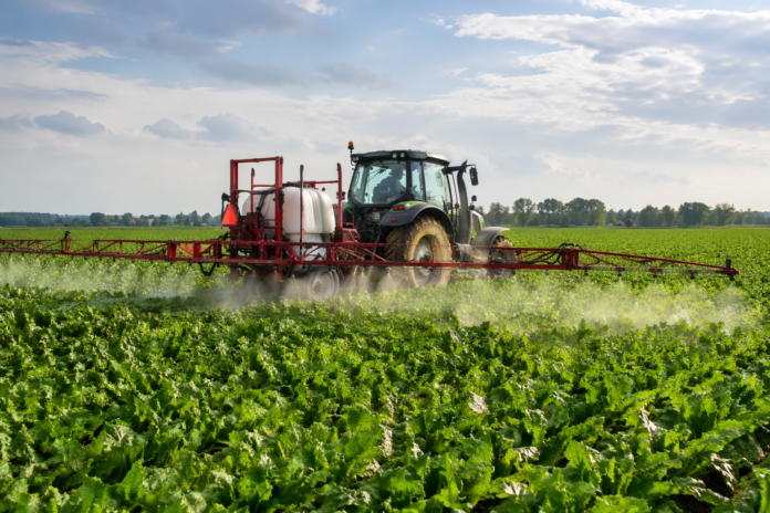 buraki cukrowe oprysk